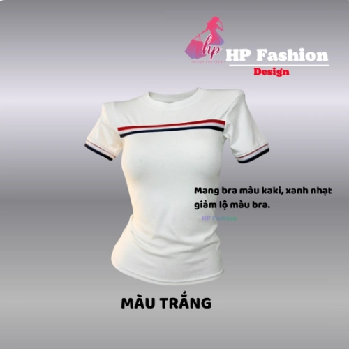 Áo thun nữ body tay ngắn viền màu chiết eo basic cổ tròn, áo phông nữ cộc tay vải cotton QC co giãn  size S M L XL 2XL 3XL có bigsize  HP104