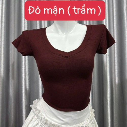 Áo thun cổ tim nữ chiết eo basic, áo phông nữ ôm body cộc ngắn tay vải cao cấp co giãn 4 chều thoáng mát thấm hút mồ